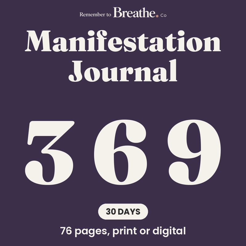 369 Manifestation Journal cover